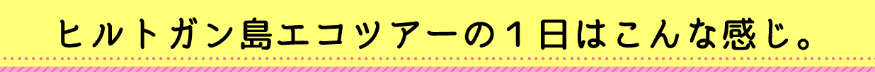 ヒルトガン島エコツアーの１日はこんな感じ