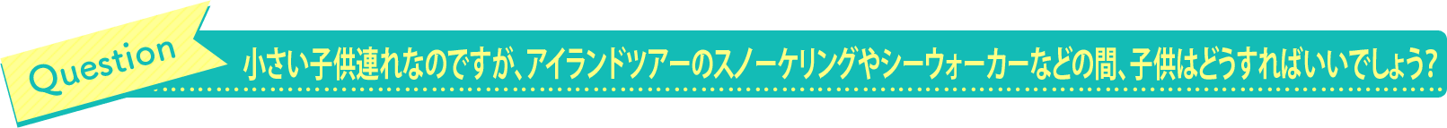 小さい子供連れなのですが、アイランドツアーのスノーケリングやシーウォーカーなどの間、子供はどうすればいいでしょう？