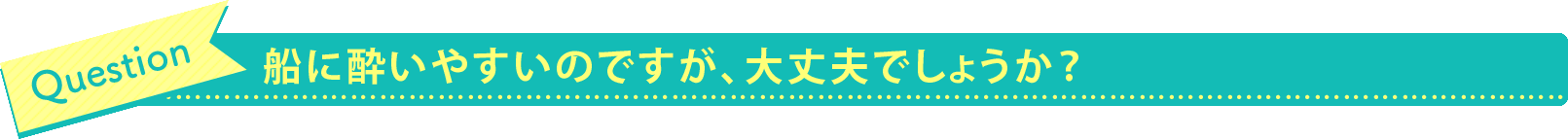 船に酔いやすいのですが、大丈夫でしょうか？