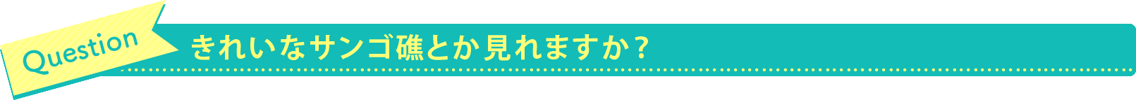 きれいなサンゴ礁とか見れますか？