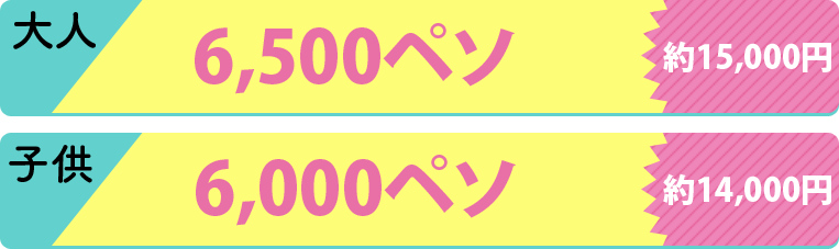 シーウォーカー&パラセイリング値段