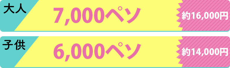 パラセイリング&アイランドツアー値段