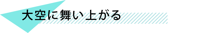 大空に舞い上がる