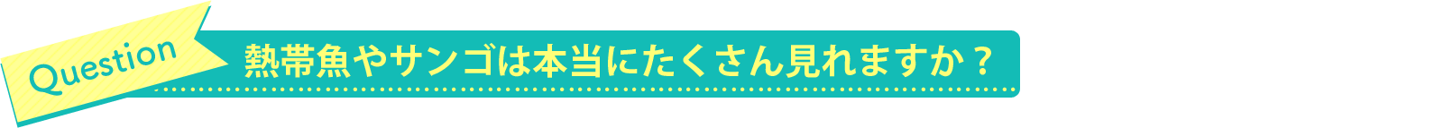 熱帯魚やサンゴは本当にたくさん見れますか?