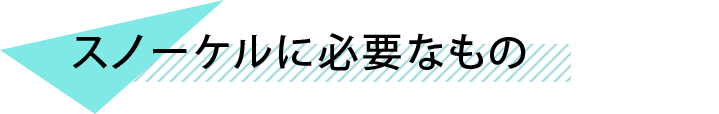 スノーケルに必要なもの