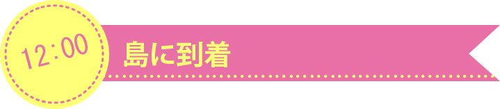 島に到着