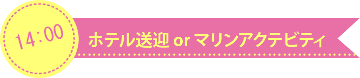 ホテル送迎 or マリンアクテビティ