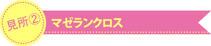 マゼランクロス