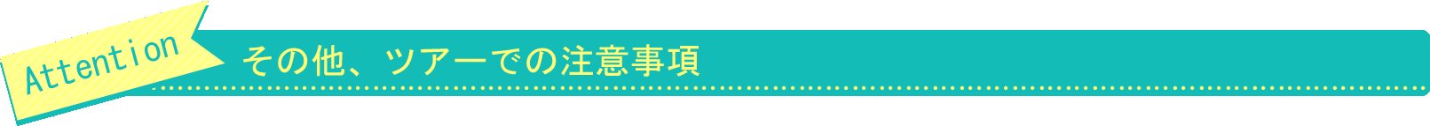 その他、ツアーでの注意事項
