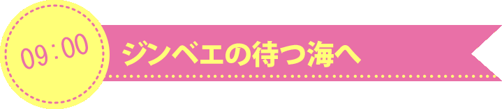 ポイントまで移動したらいよいよジンベエの待つ海へ!