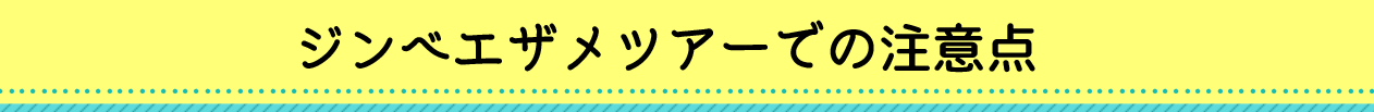 ジンベエザメツアーでの注意点